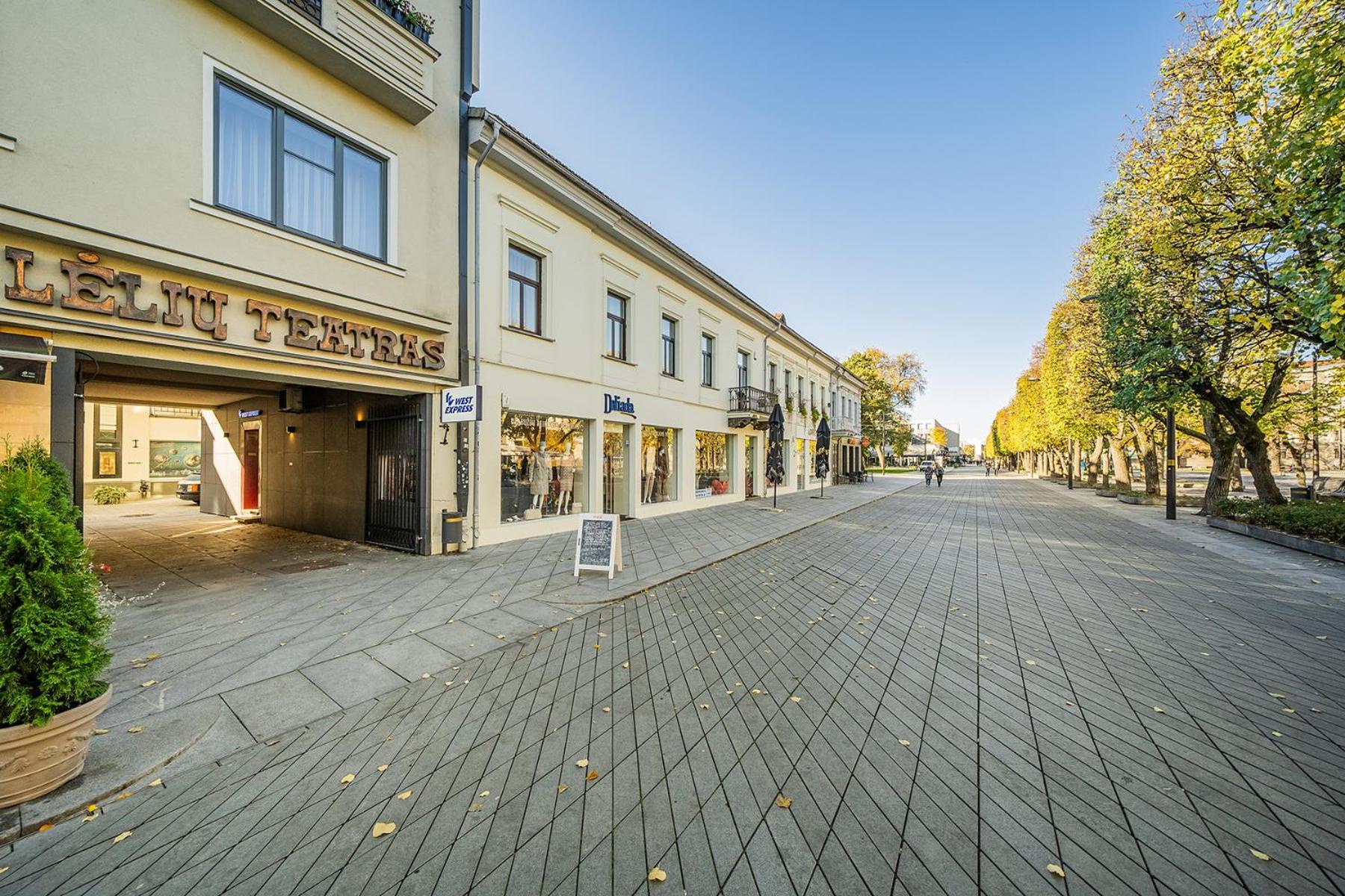Central Park Apartments - The Luxury Collection Каунас Екстериор снимка