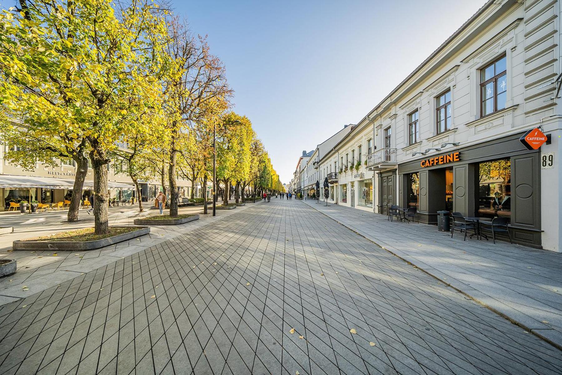 Central Park Apartments - The Luxury Collection Каунас Екстериор снимка
